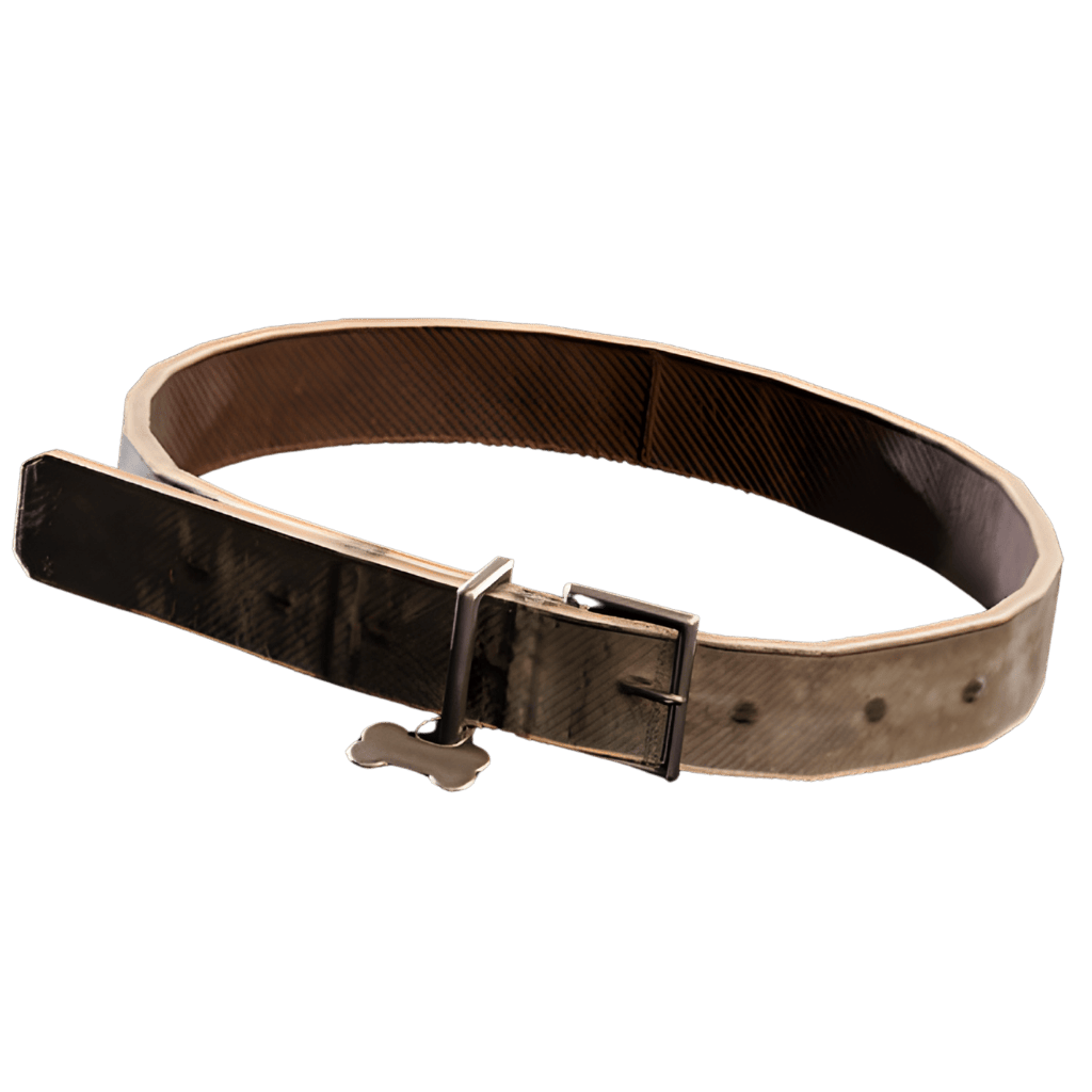 Dog Collar